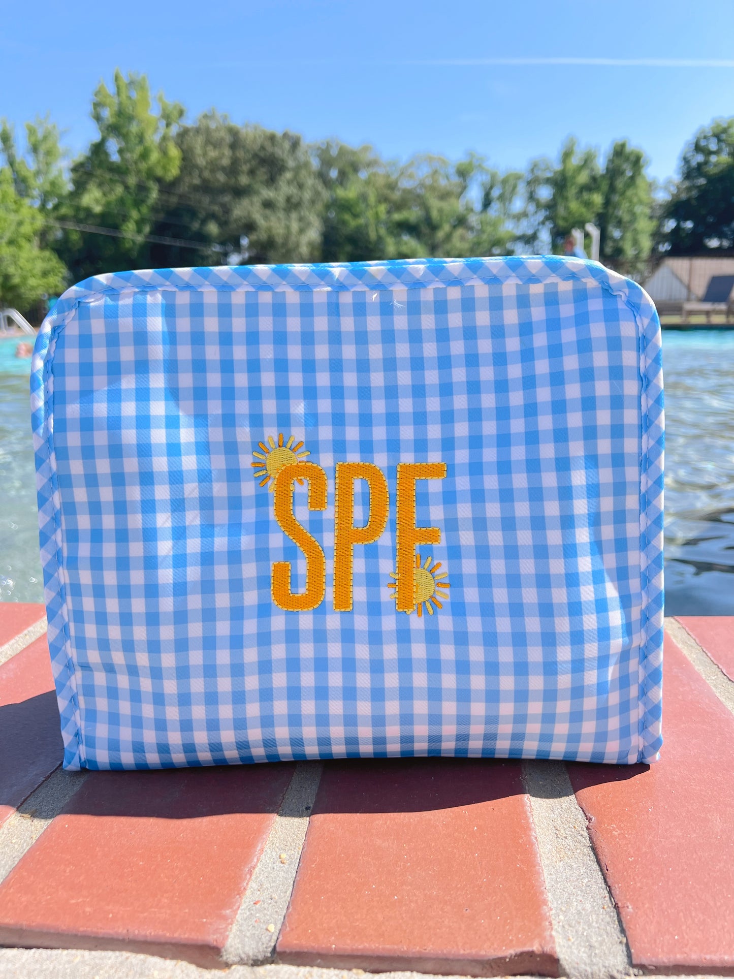 Gingham Wipeable Bags